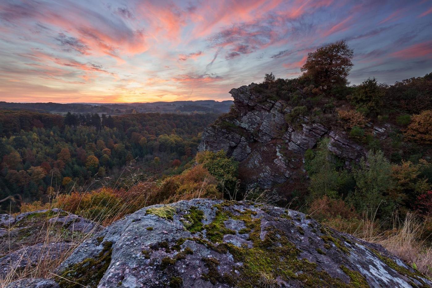 Coeur De Falaise, Normandie Suisse Normande Falaise  Εξωτερικό φωτογραφία